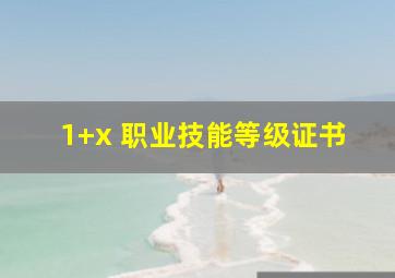 1+x 职业技能等级证书